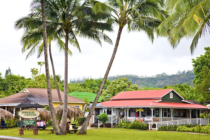 Image of Hanalei Center