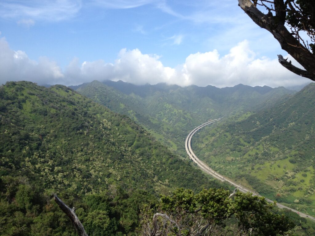 View of H3 from Aiea Loop Trail.