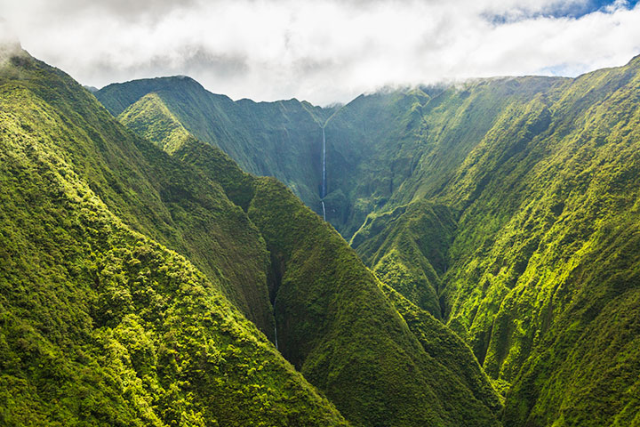 Photo courtesy of Hawaii Tourism Authority (HTA) / Tor Johnson.