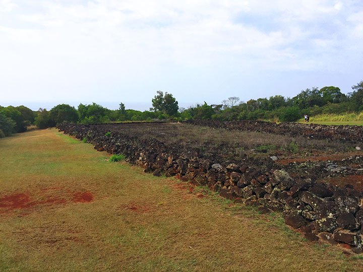 Puʻu O Mahuka Heiau