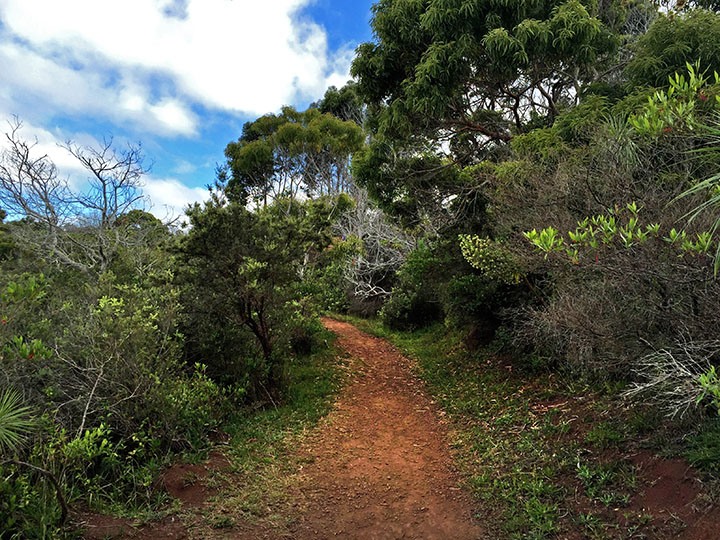 hiking waimea canyon