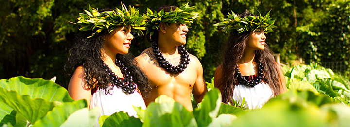 Island Breeze Luau, Kona, Big Island,