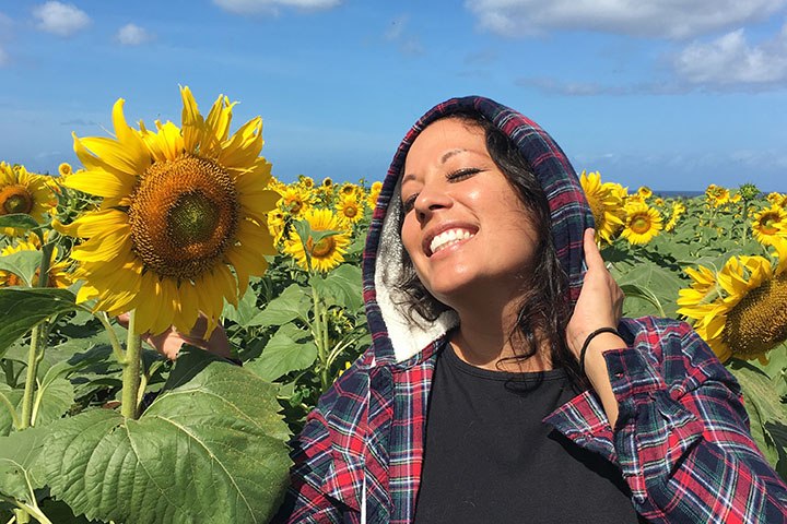 Image of famous sunflower fields