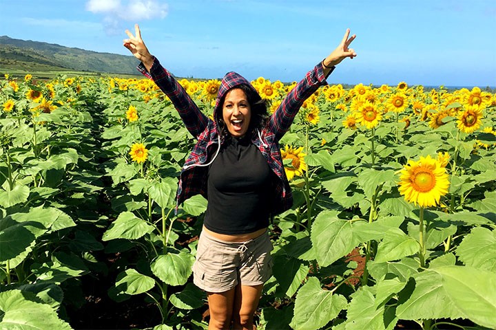 Image of DuPont Pioneer sunflowers span