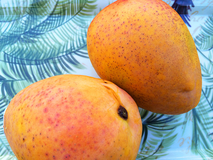 Golden Glow Mango