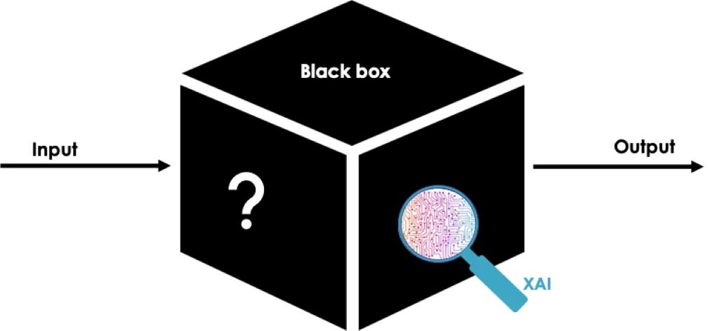 Solving the Explainable AI Black Box Problem: A Comprehensive Guide