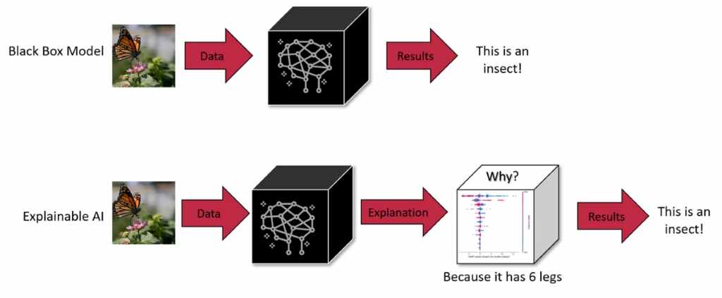 Solutions to Tackle the Black Box Problem