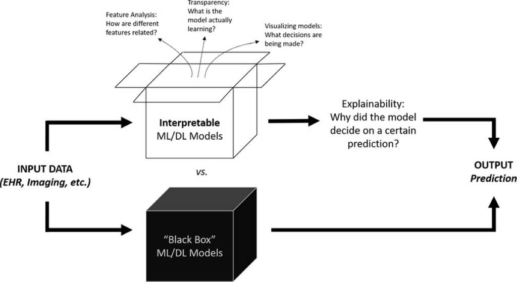 What Is the AI Black Box Problem