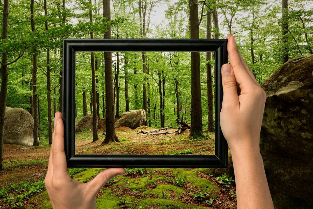 Why Landscape Design Software Matters for Beginners